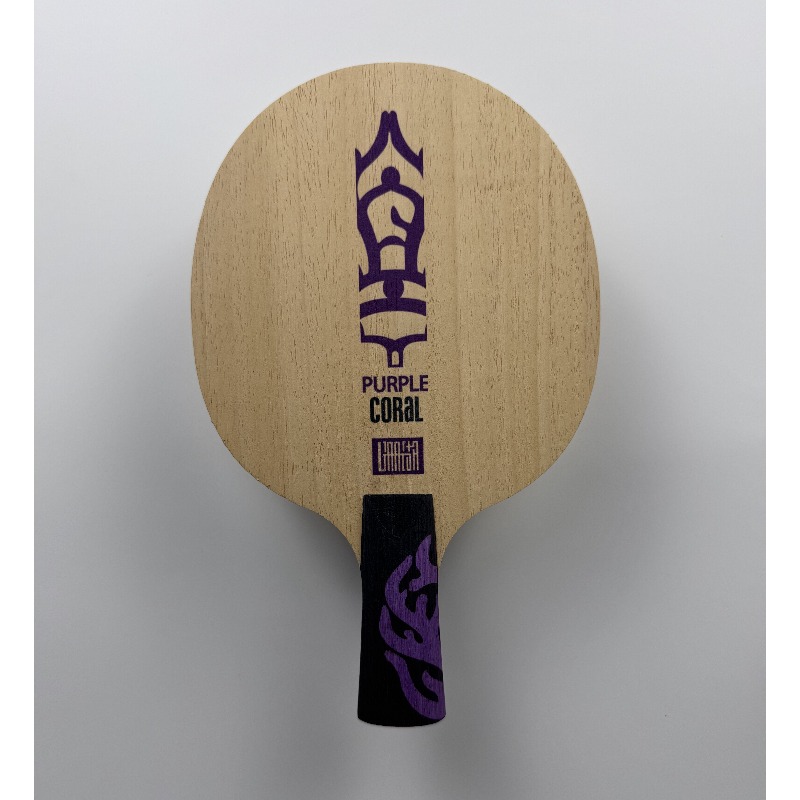 Raquette de tennis de table Me - Table Tennis Racket avis et prix