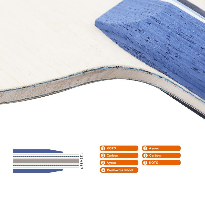 1 raquette de tennis de table  - Table Tennis Racket avis et prix