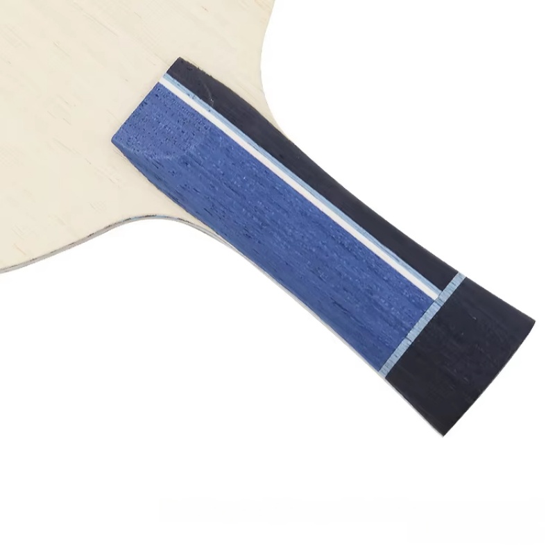 1 raquette de tennis de table  - Table Tennis Racket avis et prix
